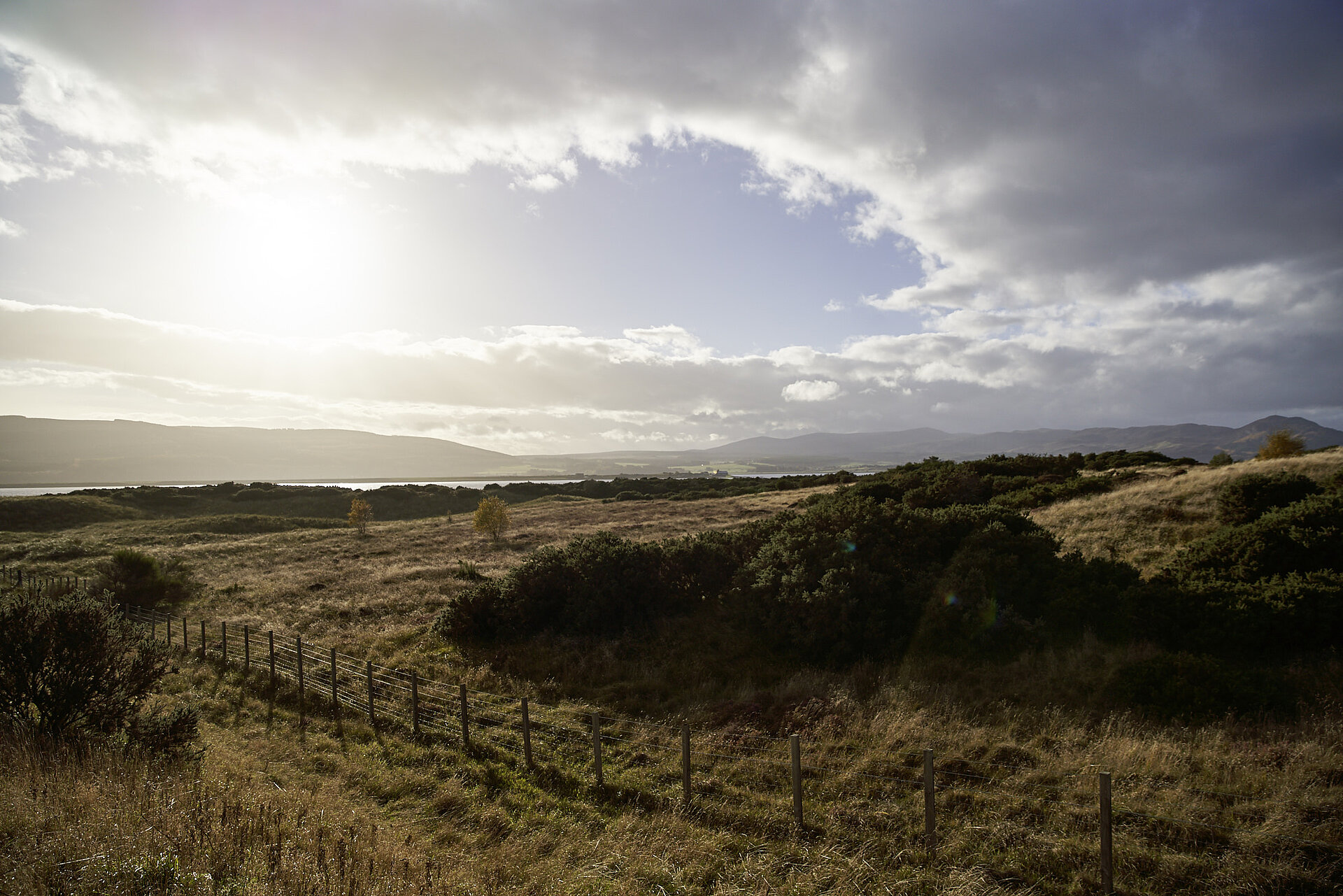 Glenmorangie landscape