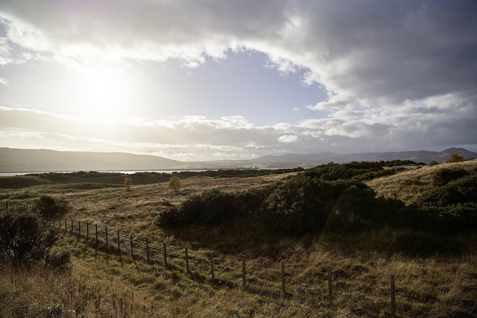 Glenmorangie Landscape