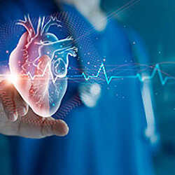 Cardiologist doctor examine patient heart functions and blood vessel on virtual interface