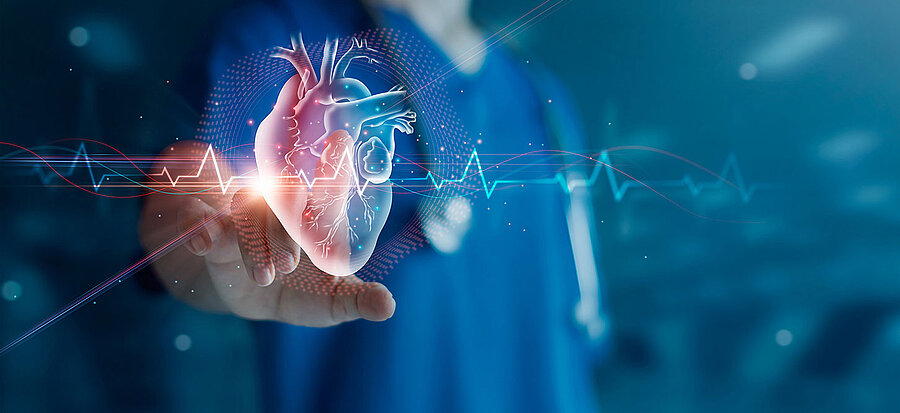 Cardiologist doctor examine patient heart functions and blood vessel on virtual interface