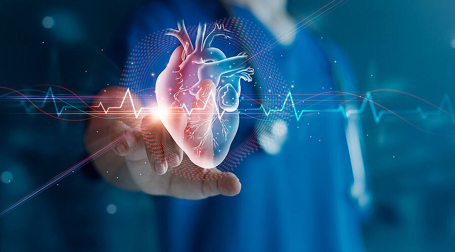 Kardiologe untersucht Herzfunktionen und Blutgefäße des Patienten auf einer virtuellen Schnittstelle.