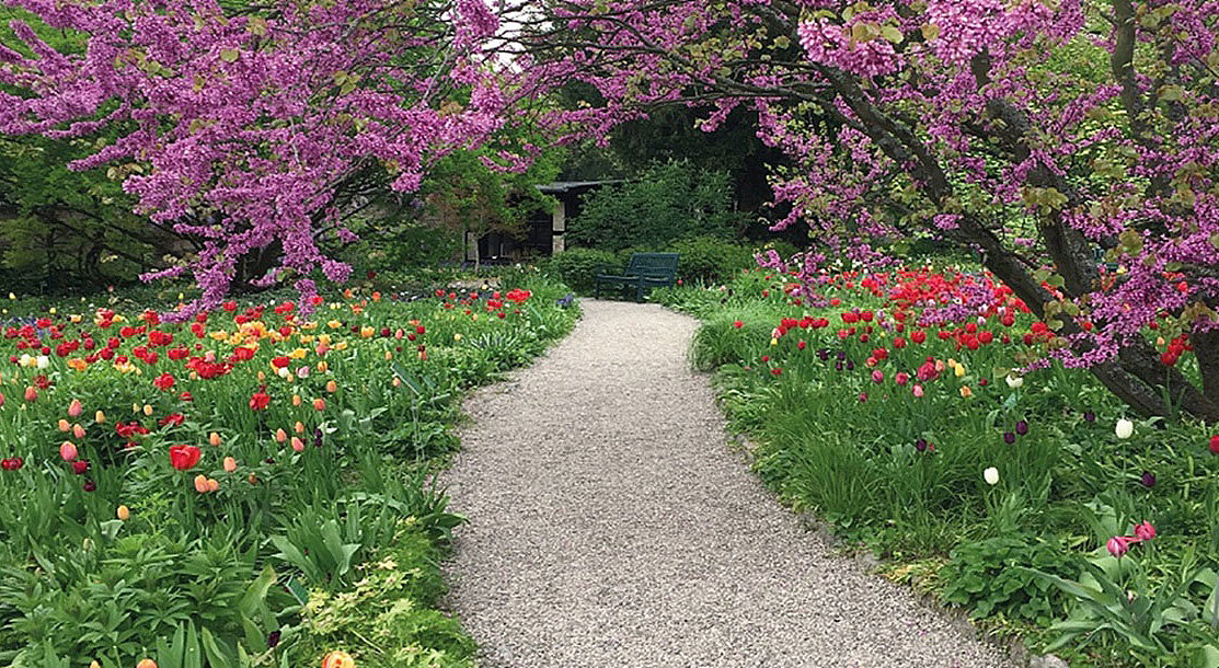 A pathway in a park, surrounded by flowers and trees