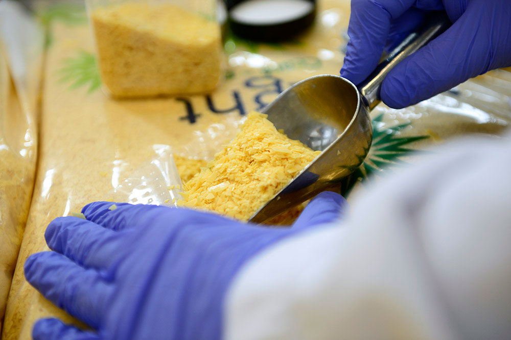 quality control of Carnauba wax