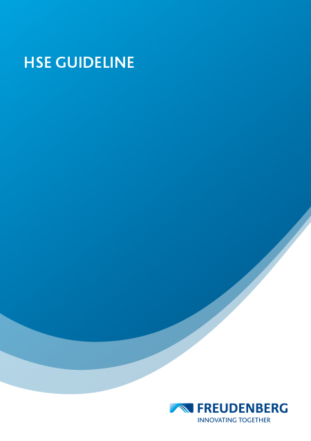 HSE Guideline